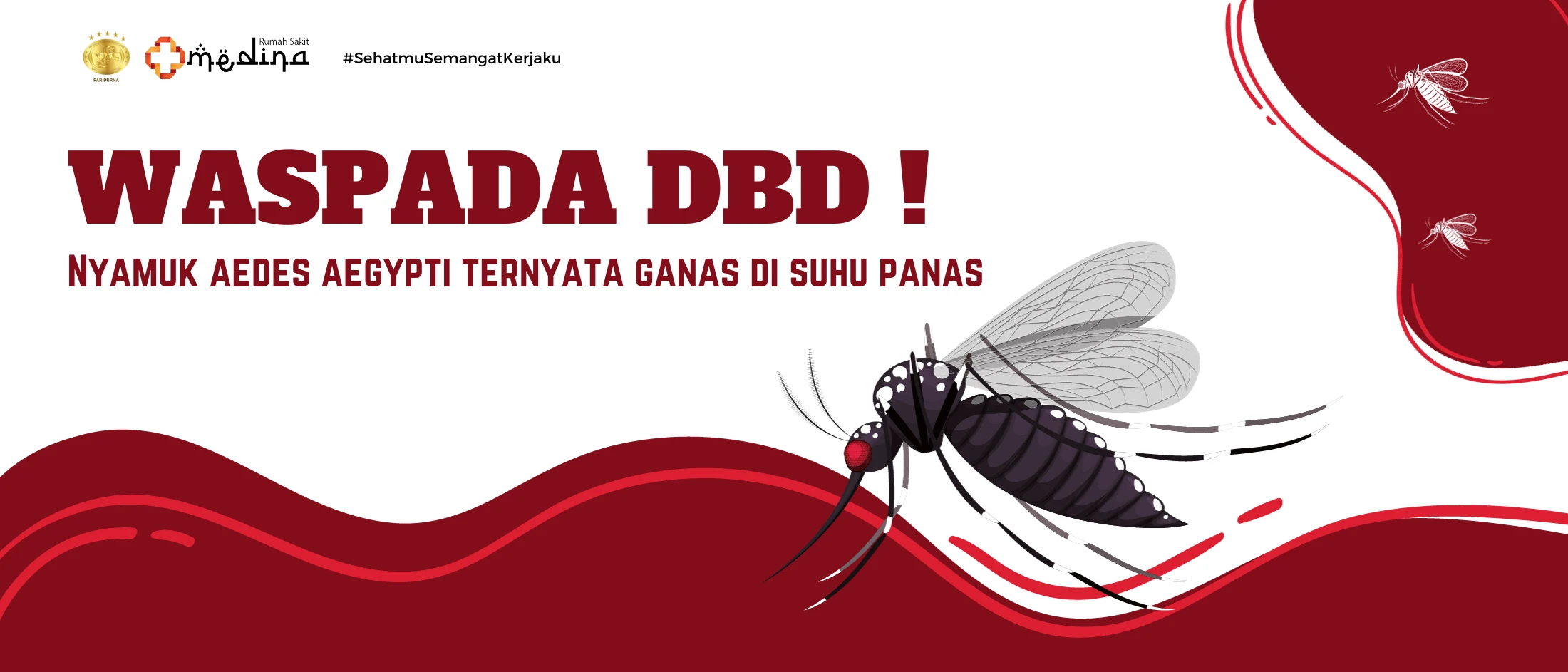 artikel kesehatan Waspada DBD, Nyamuk Aedes Aegypti Ternyata Ganas di Suhu Panas !