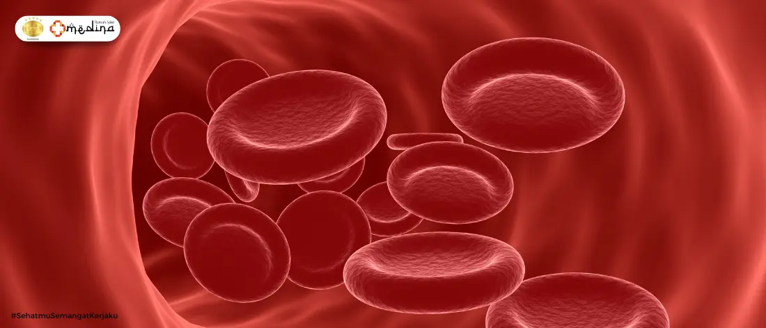 artikel kesehatan Hemofilia: Pahami Gejala dan Pengobatannya
